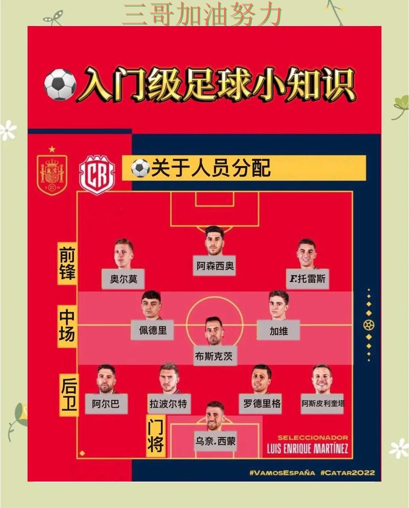 世界杯买球网站是否安全指南：数据分析全流程解析（世界杯官方信息）